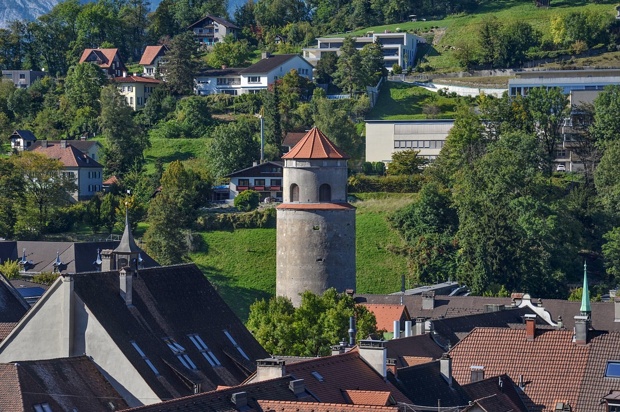 Schützenvereine im Bezirk Feldkirch Schützenvereine im Bezirk Feldkirch